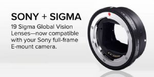 Sigma MC-11 E-Mount Lens Adapter - For Canon 