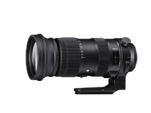 Sigma 60-600mm F4.5-6.3 DG OS HSM Sport - For Nikon