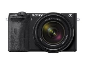 Sony A6600 Mirrorless body with18-135mm f/3.5-5.6 OSS lens