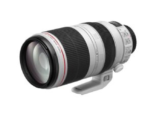 Canon EF 100-400mm f/4.5-5.6L IS USM MKII