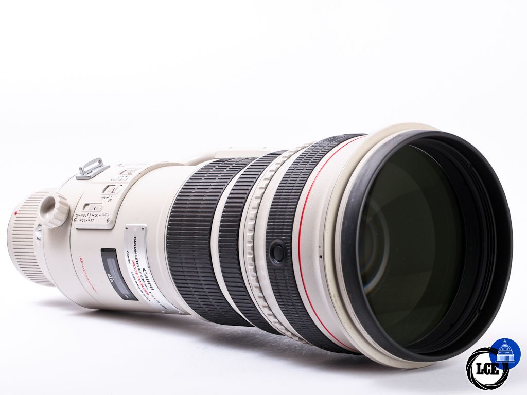 Canon EF 500mm f/4 L IS USM | 1019381