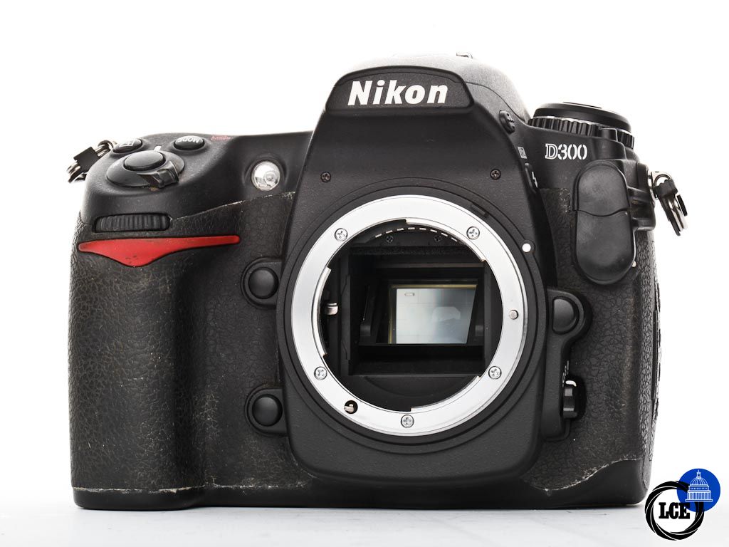 Nikon D300 | 1019785