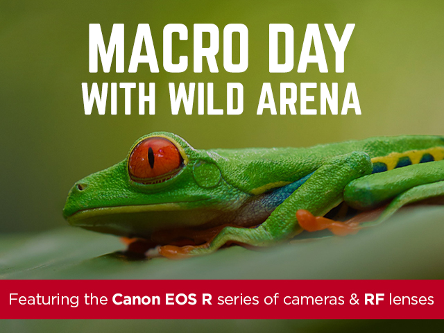 Canon Macro Day with Wild Arena 