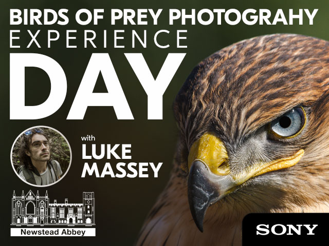 Birds of Prey Photography with Luke Massey & Sony