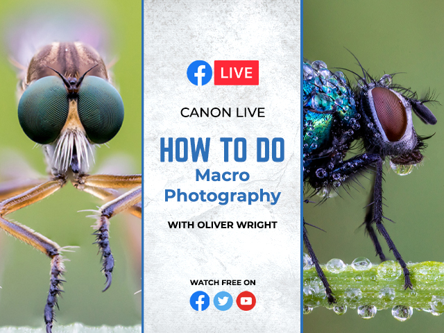 Canon Live | How to do Macro Photography with Oliver Wright