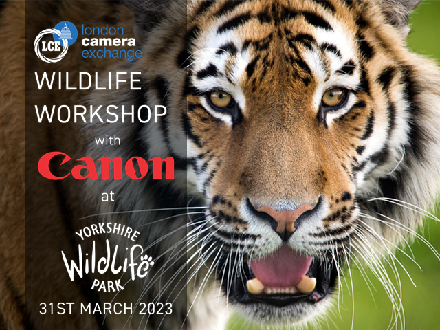 Wildlife Workshop with Canon - Yorkshire Wildlife Park **FULLY BOOKED**