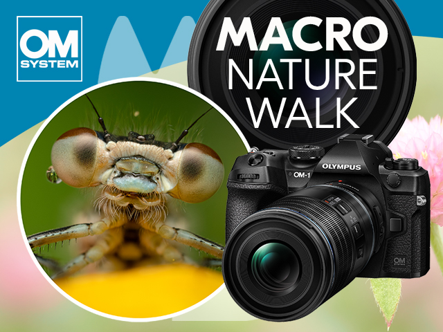 Macro Photo Walk with OM SYSTEM