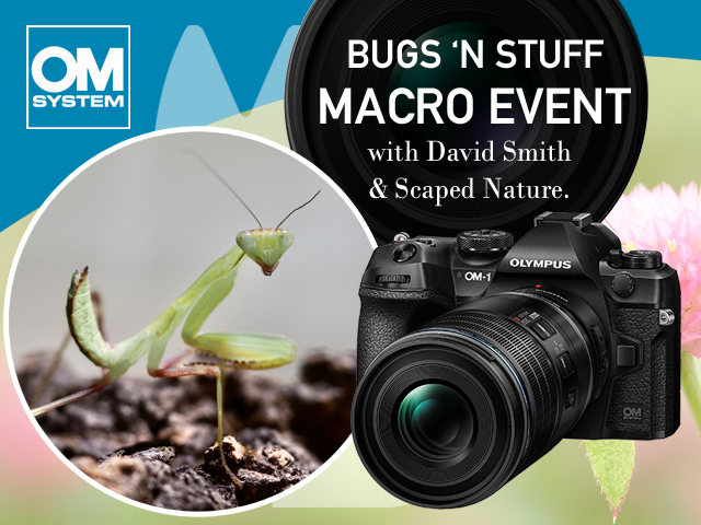 Macro Workshop with David Smith & Scaped Nature