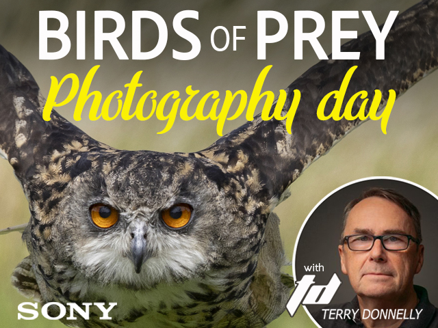 Bird of Prey Photography Day with Sony