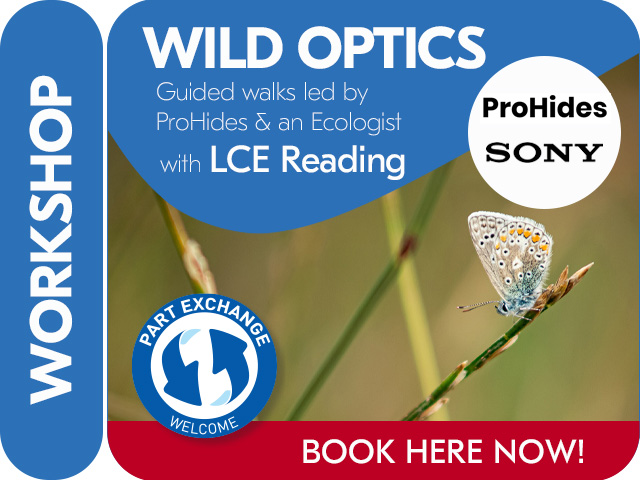 WILD OPTICS WORKSHOP WITH PROHIDES & SONY.