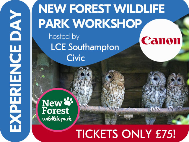 NEW FOREST WILDLIFE PARK EXPERIENCE DAY with CANON & LCE. SESSION 2