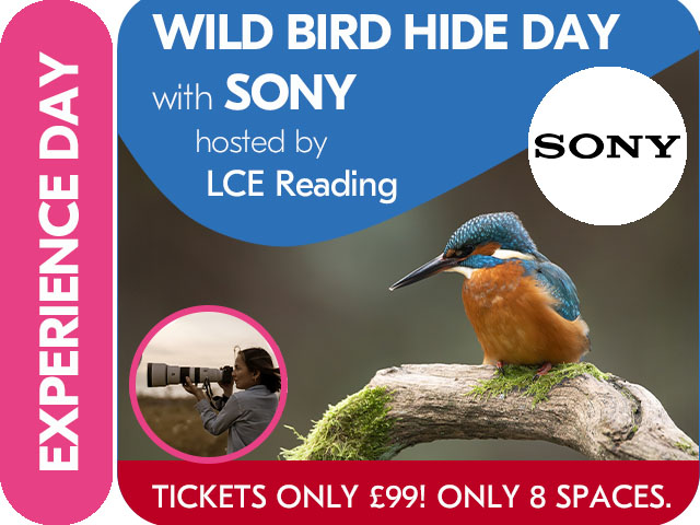 SONY ALPHA BIRD HIDE EXPERIENCE DAY with LCE READING