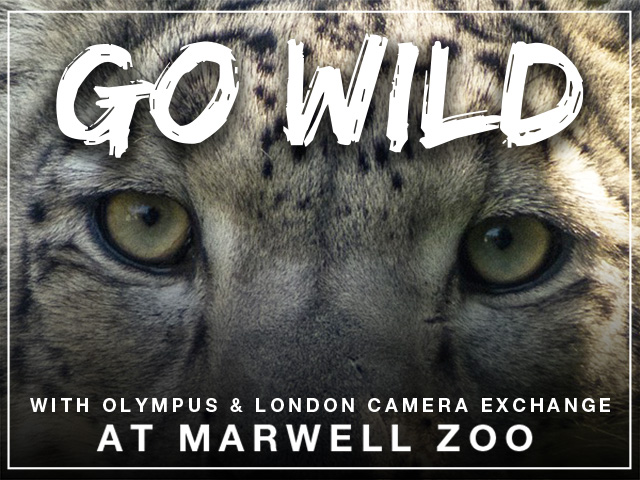 Marwell Zoo experience day