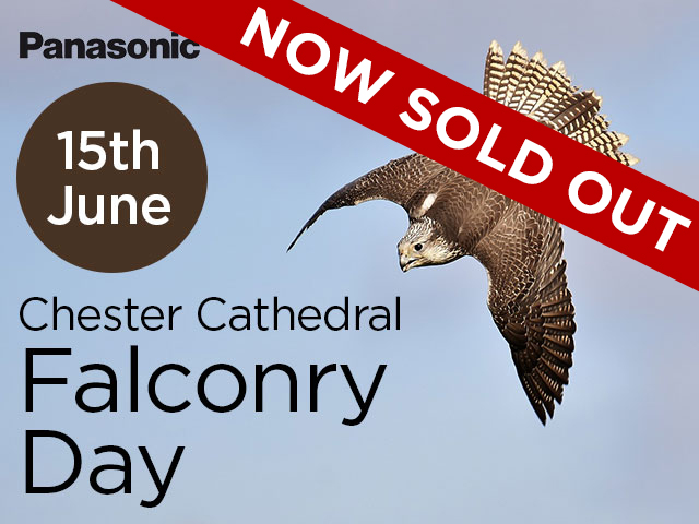 Panasonic Falconry Day At Chester Cathedral