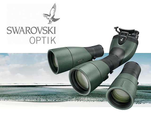 Swarovski Day