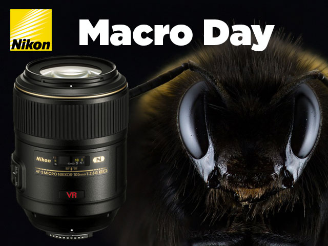 Nikon Macro Demo Day