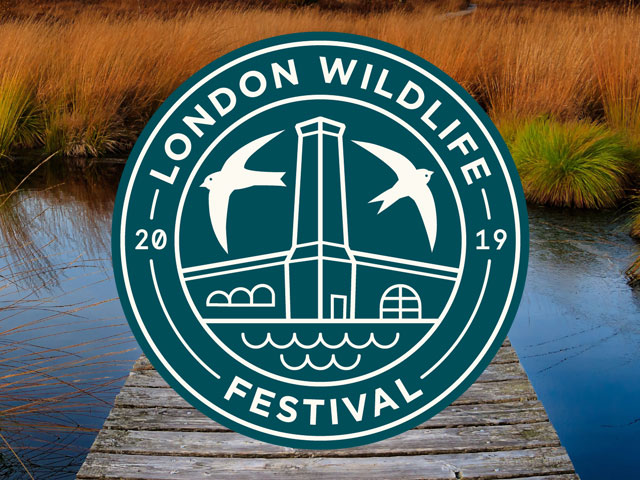 London Wildlife Festival | Cancellation