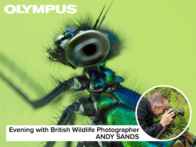 An evening with Andy Sands, British Wildlife Photographer