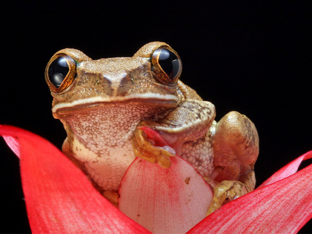 Canon Animal Macro Shooting Workshop *All now fully booked- no spaces remaining, sorry*
