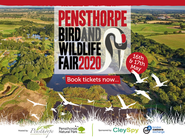 Pensthorpe Bird and Wildlife Fair 2020