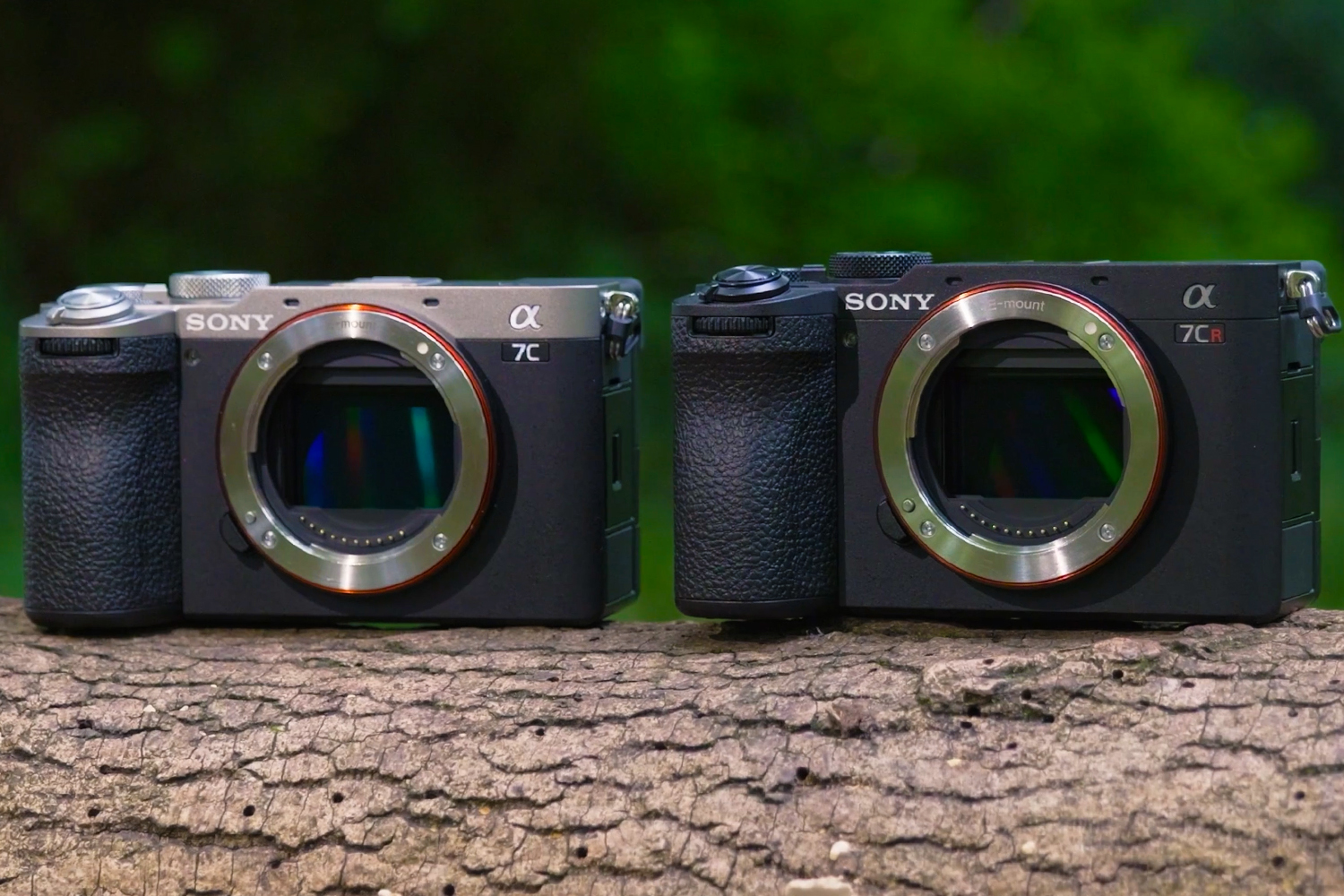 SONY A7C II & A7CR | SMALL, COMPACT AND FULL-FRAME WITH UP TO 61 MP
