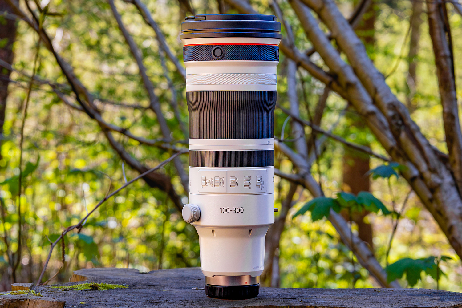 CANON RF 100-300MM F2.8 L IS USM | INITIAL FIRST LOOK