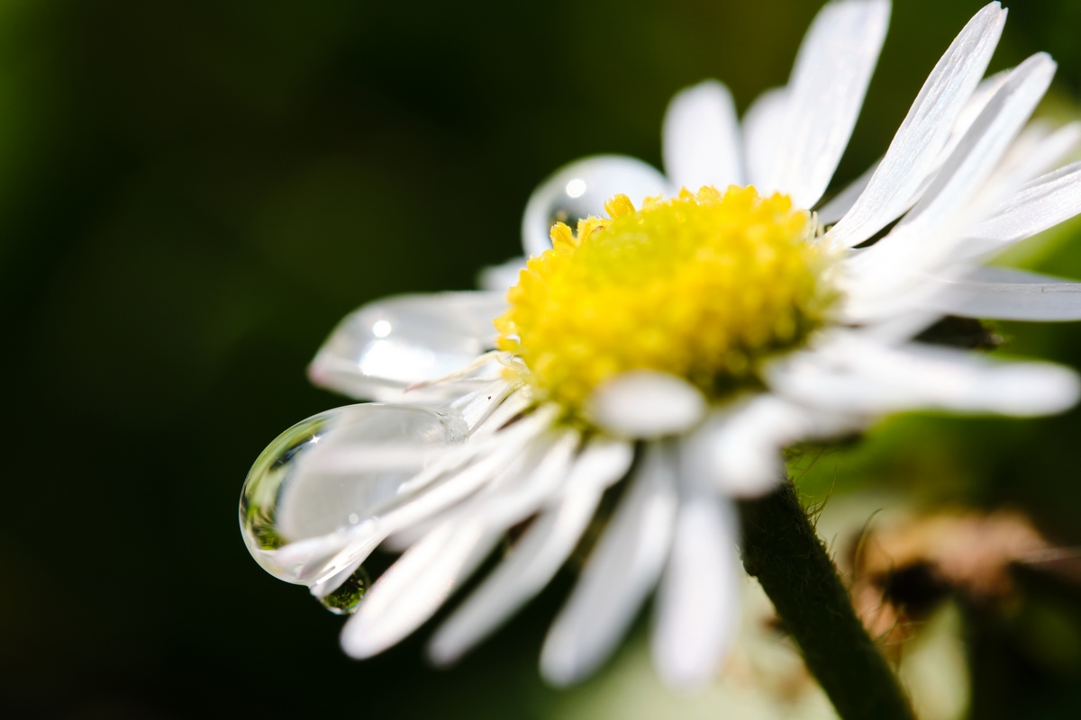 REFRACTION PHOTOGRAPHY 