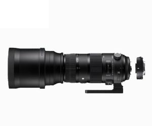 Sigma 150-600mm F5-6.3 DG OS HSM Sport & Tele Converter TC-1401 - For Canon Sigma 150-600mm F5-6.3 DG OS HSM Sport & Tele Converter TC-1401 - For Canon