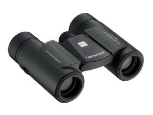 Olympus 10x21 RCII WP Binocular - Dark Green