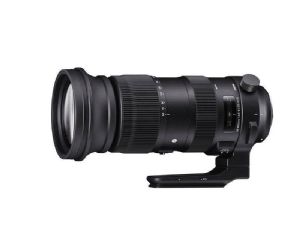 Sigma 60-600mm F4.5-6.3 DG OS HSM Sport - For Canon Sigma 60-600mm F4.5-6.3 DG OS HSM Sport - For Canon