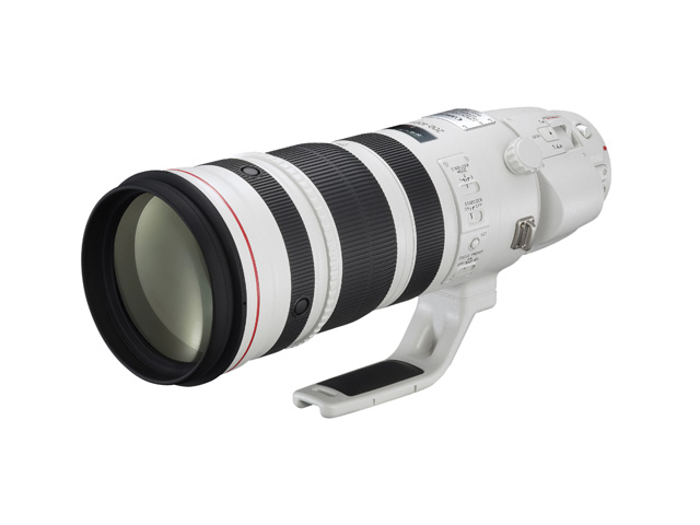 Canon EF 200-400mm f/4L IS USM Extender 1.4x