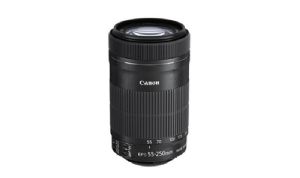 Canon EF-S 55-250mm f/4-5.6 IS STM