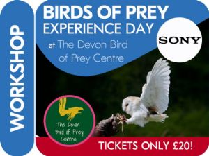 LCE 1 x TICKET FOR SONY BIRD OF PREY EXPERIENCE DAY WITH LCE PLYMOUTH 10.00am - 11.30am LCE 1 x TICKET FOR SONY BIRD OF PREY EXPERIENCE DAY WITH LCE PLYMOUTH 10.00am - 11.30am