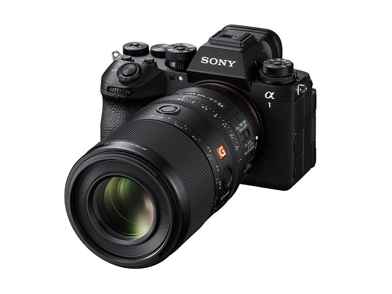 Sony FE 100mm F2.8 Macro GM OSS Lens