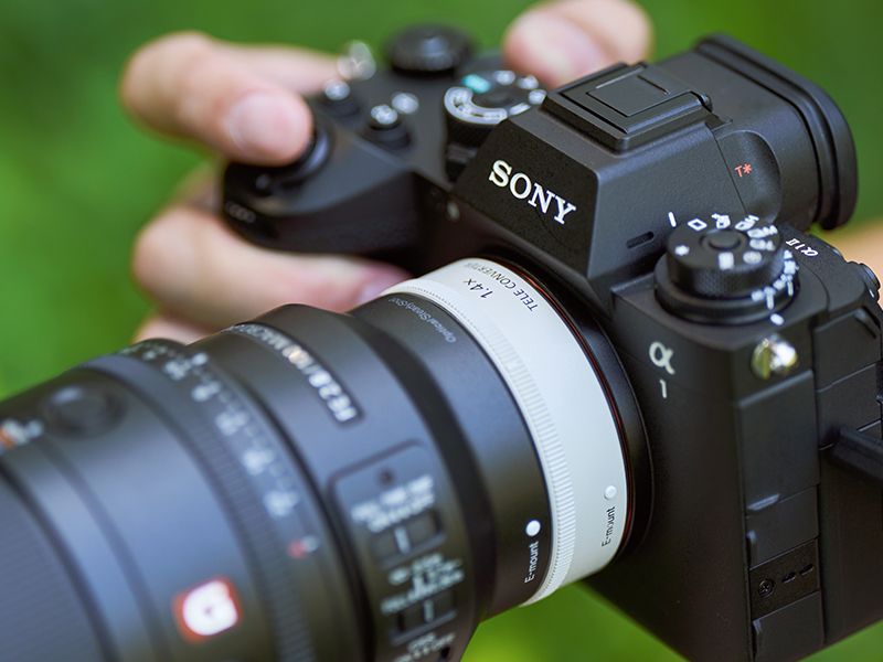 Sony FE 100mm F2.8 Macro GM OSS Lens