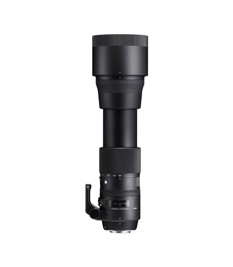 Sigma 150-600mm F5-6.3 DG OS HSM | Contemporary & Tele Converter TC-1401 - For Nikon F Mount
