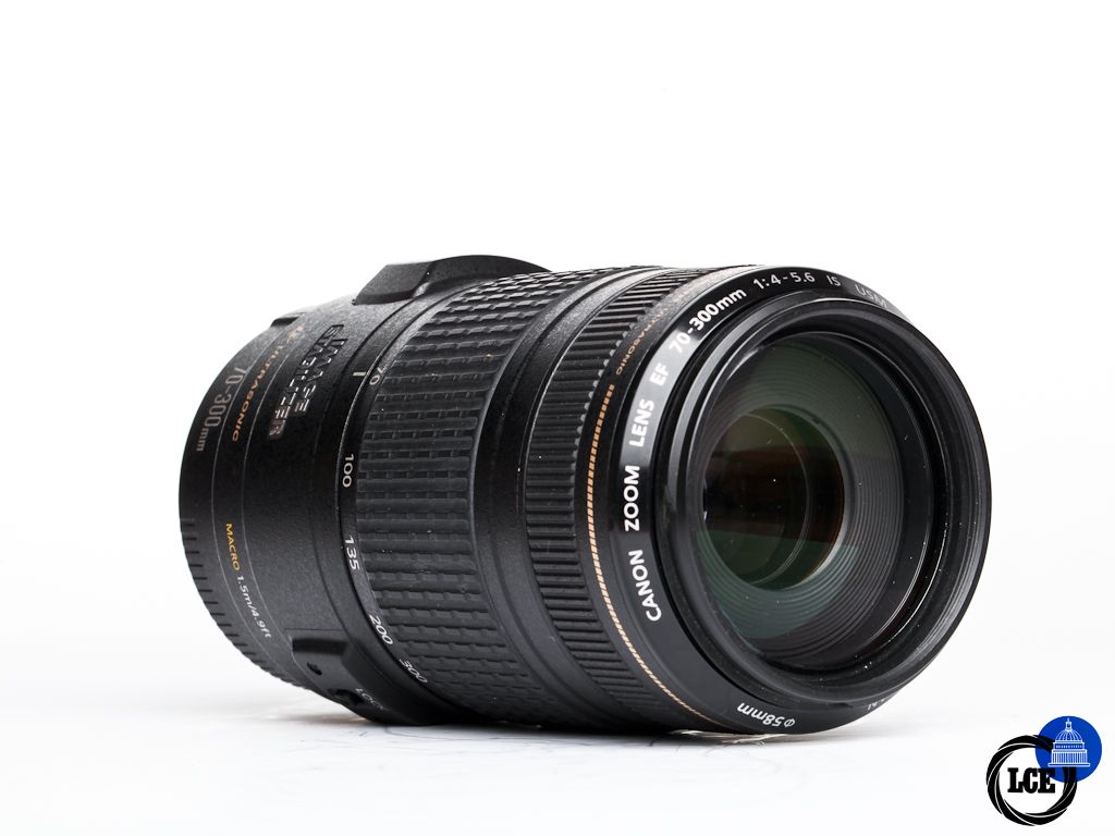 Canon EF 70-300mm f/4-5.6 IS USM | 1019608