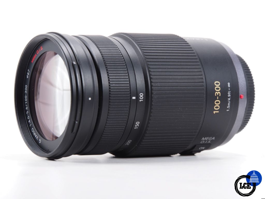 Panasonic 100-300mm F4-5.6 OIS