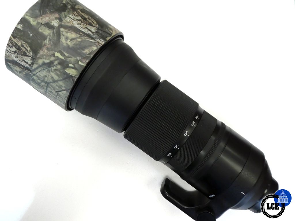 Sigma 150-600 for N/Af contempory