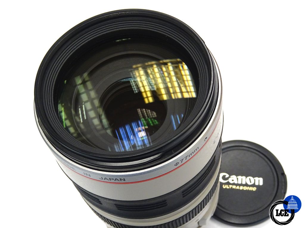 Canon EF 100-400mm F4.5-5.6 L IS