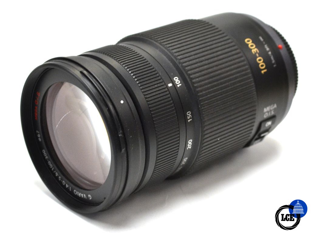Panasonic 100-300mm F4-5.6 Mega O.I.S. Panasonic 100-300mm F4-5.6 Mega O.I.S.