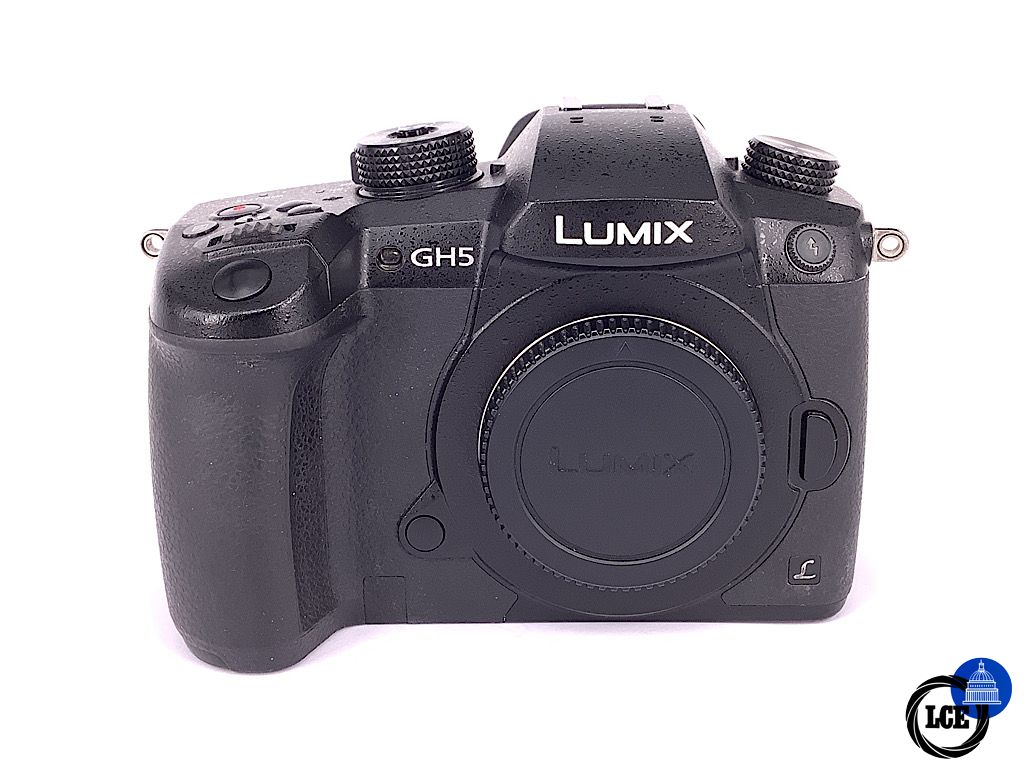 Panasonic GH5 body