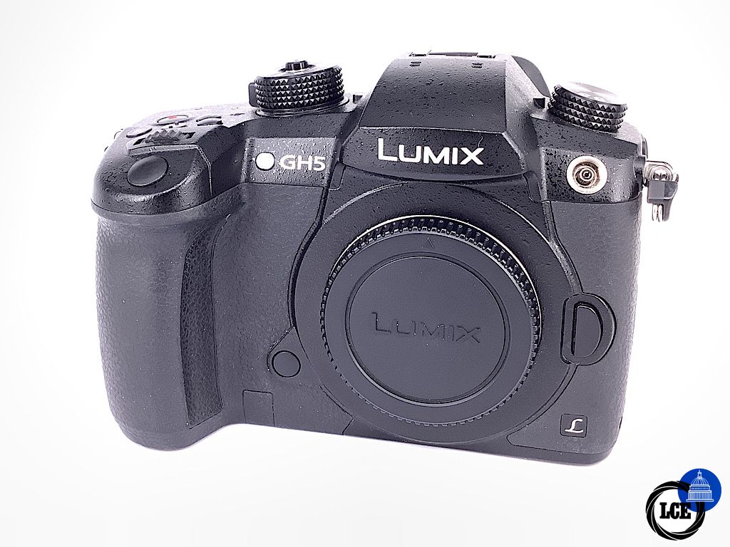 Panasonic GH5 body