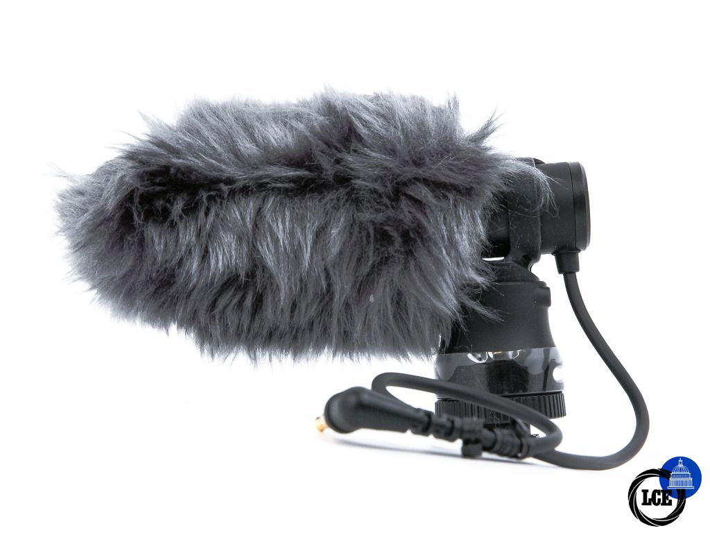 Canon DM-E100