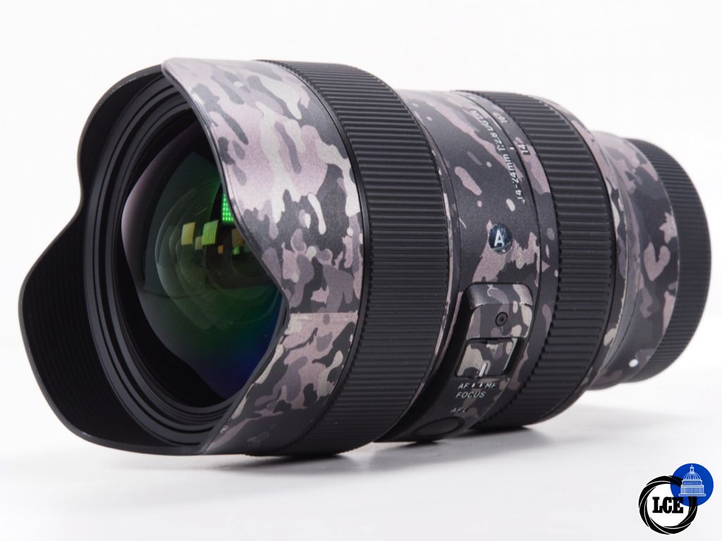 Sigma 14-24mm F2,8 DG DN & Haida Drop in ND Filter set. Sony FE