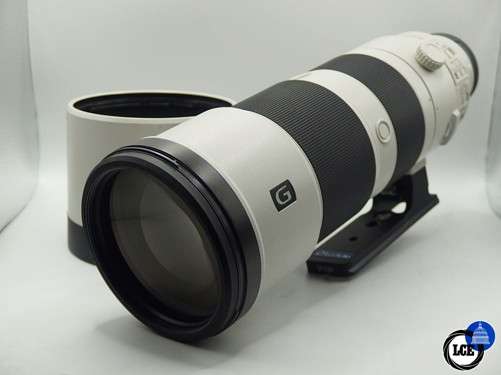 Sony FE 200-600mm G OSS