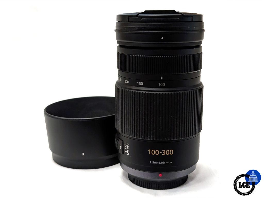 Panasonic Lumix 100-300mm f4-5.6 G Vario