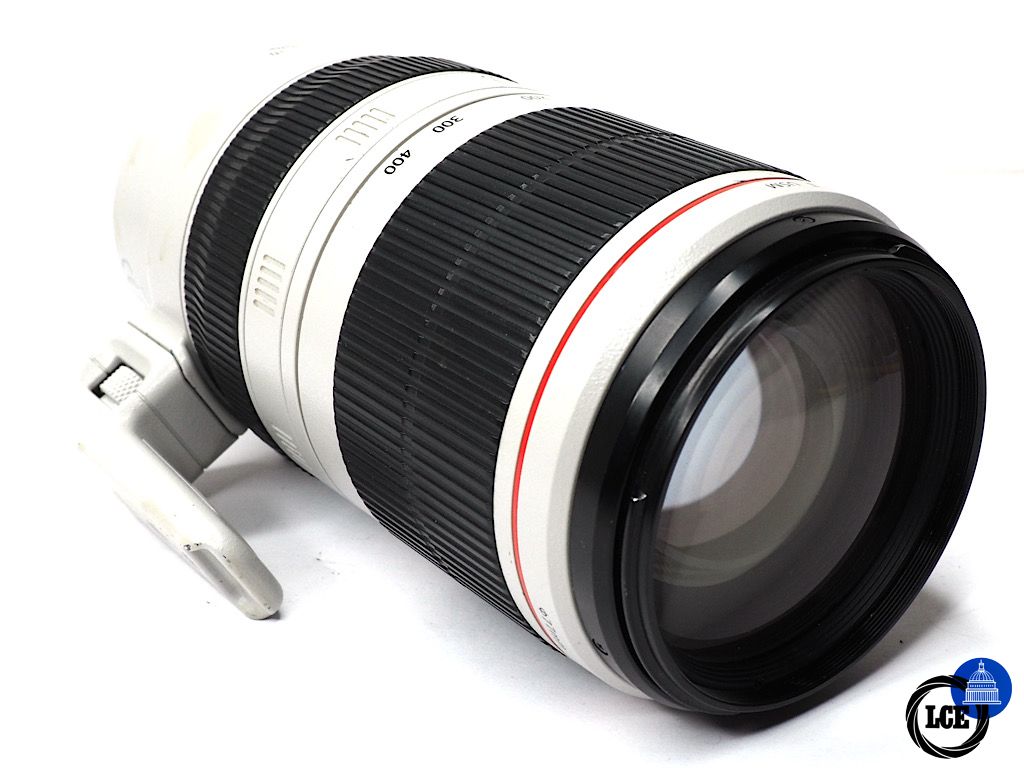 Canon EF 100-400mm f4.5-5.6