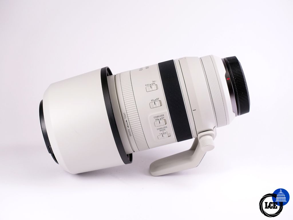 Canon RF 100-500mm F4.5-7.1 L