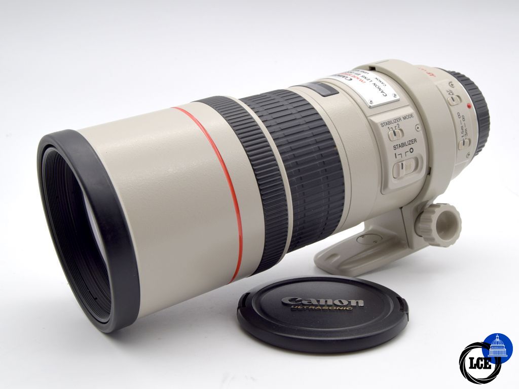 Canon EF 300mm f/4L IS USM